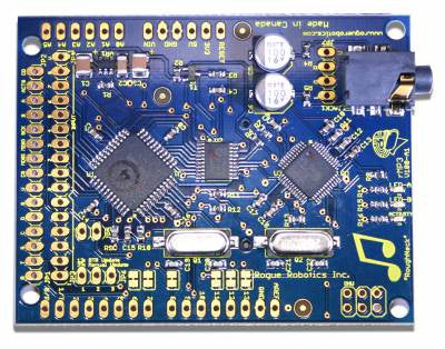 rMP3 Playback Module